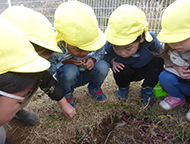 かしおぺあ(2歳児)