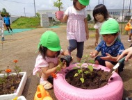 タイヤをリメイクして、お花を植えました