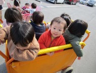 おーろら(０歳児)では、天気の良い日は戸外を散歩しながら、自然に触れて楽しんでいます